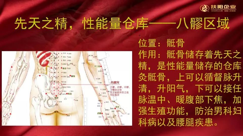 春至阳回千顷绿时来运转万家新是什么生肖,构建解答解释落实_b058.27.09